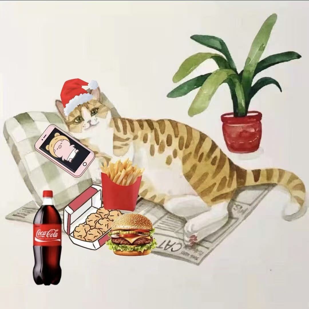 书宾宾