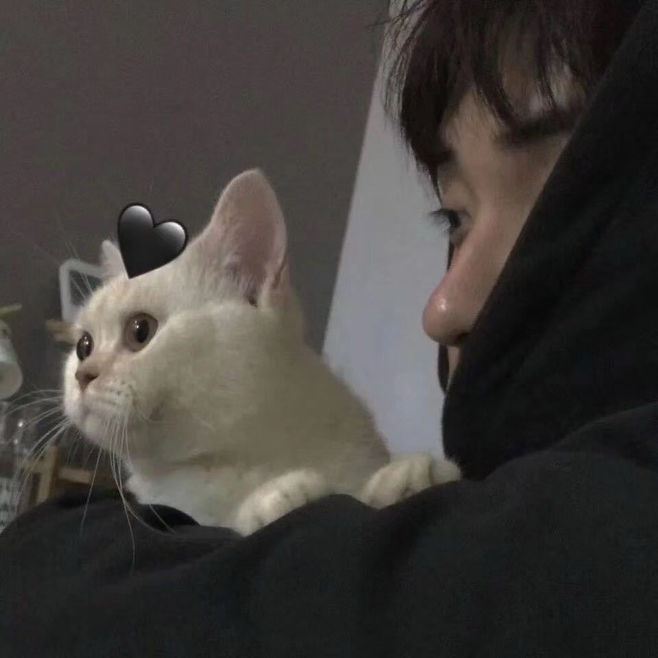 丑锅锅