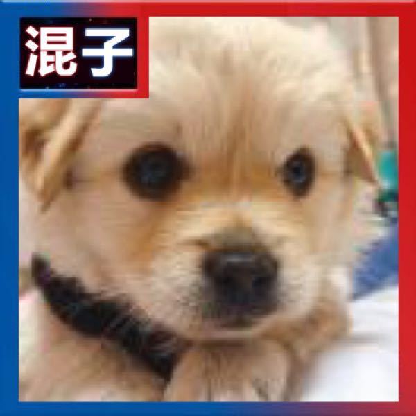 苏小然