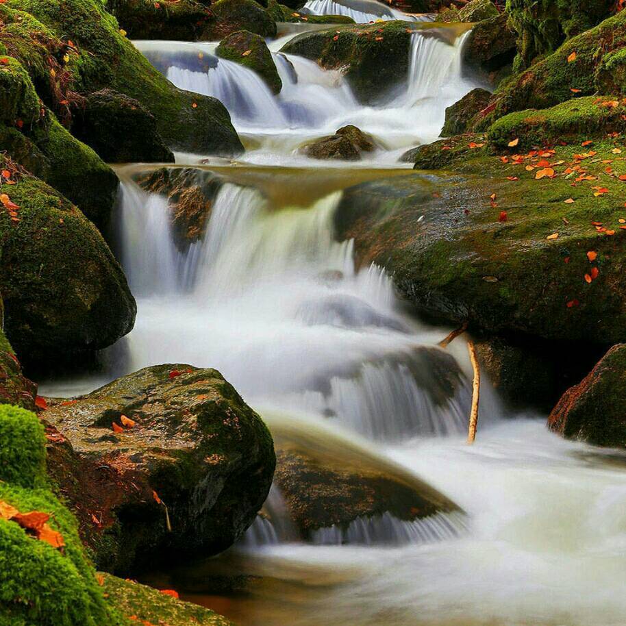 【开了双封】请自重，骗子全网通报