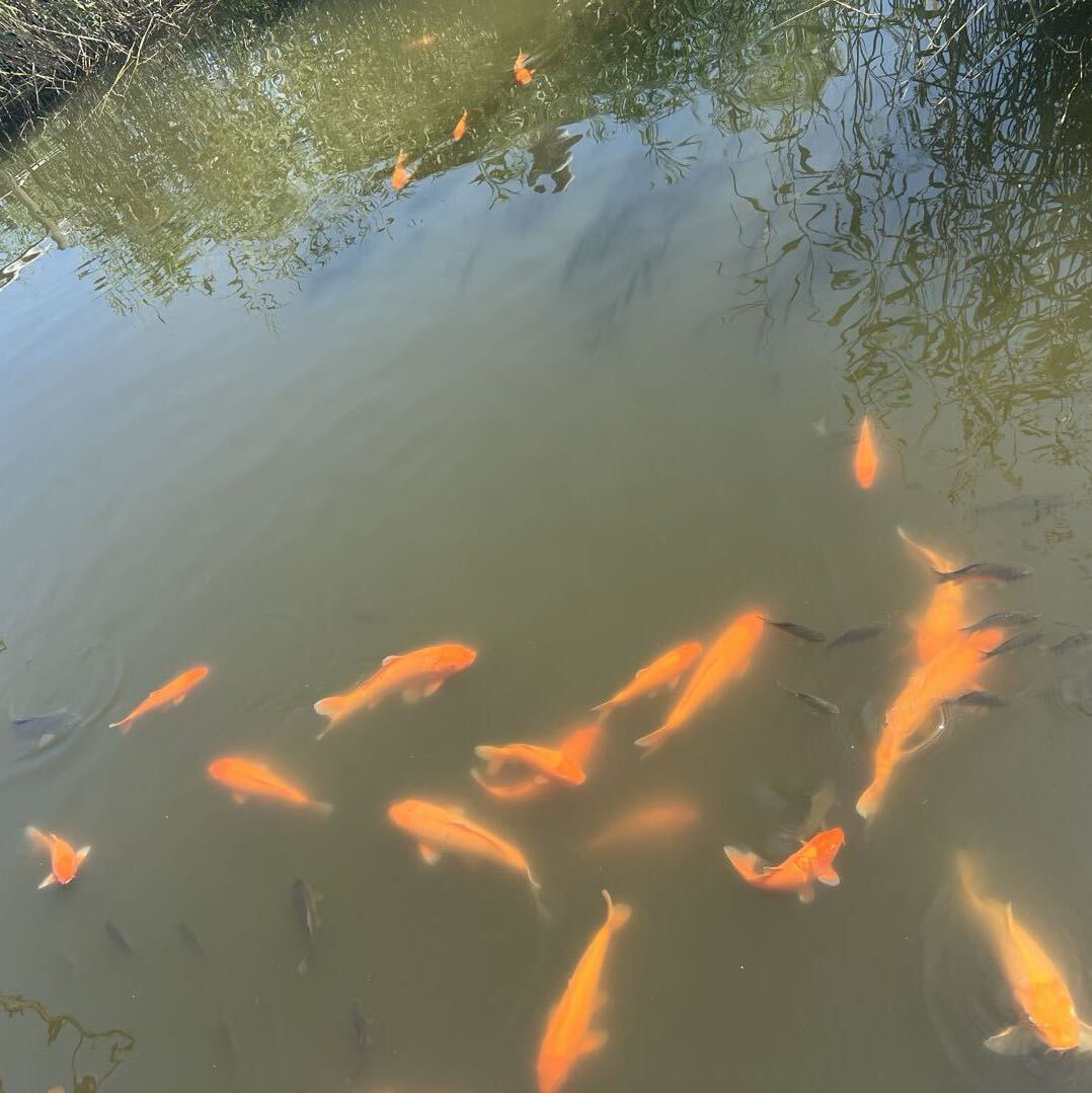 流年、
