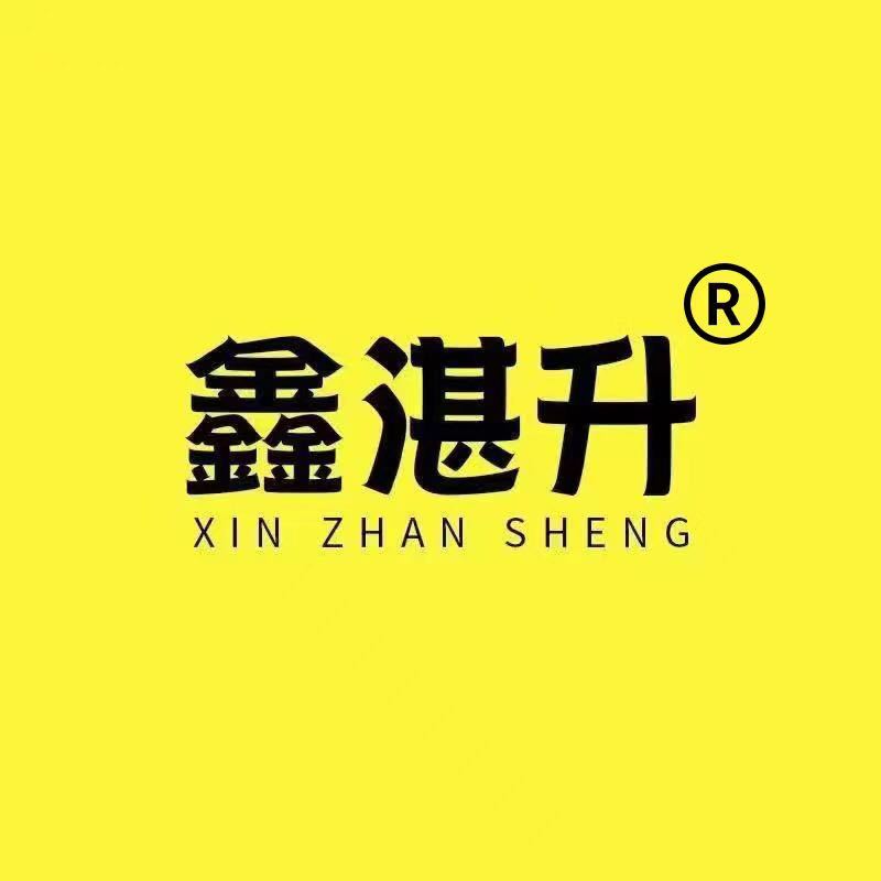 鑫湛升真皮女鞋