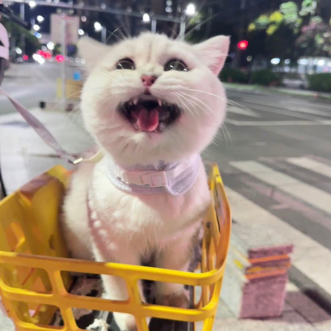 苏酥糖