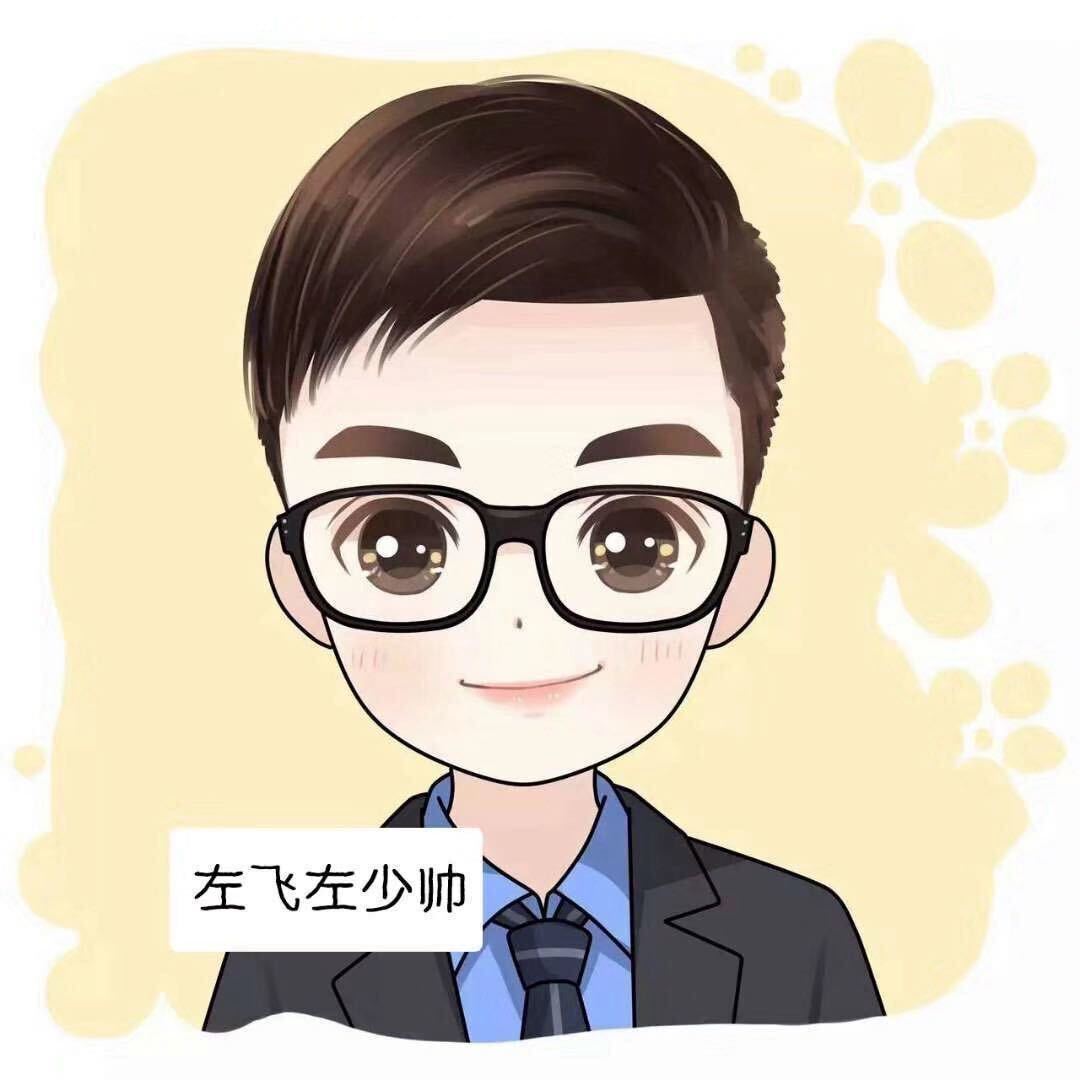左飞