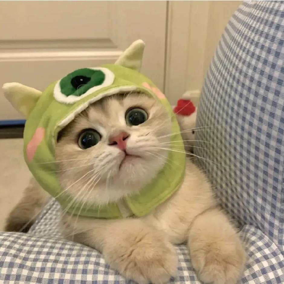 煲仔范