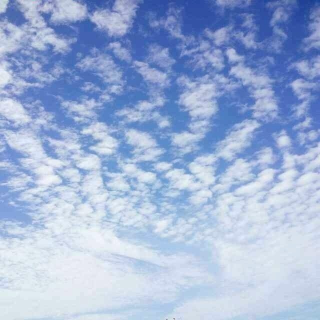 LQ