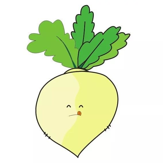 萝卜干