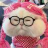 猫瓷儿₊დ