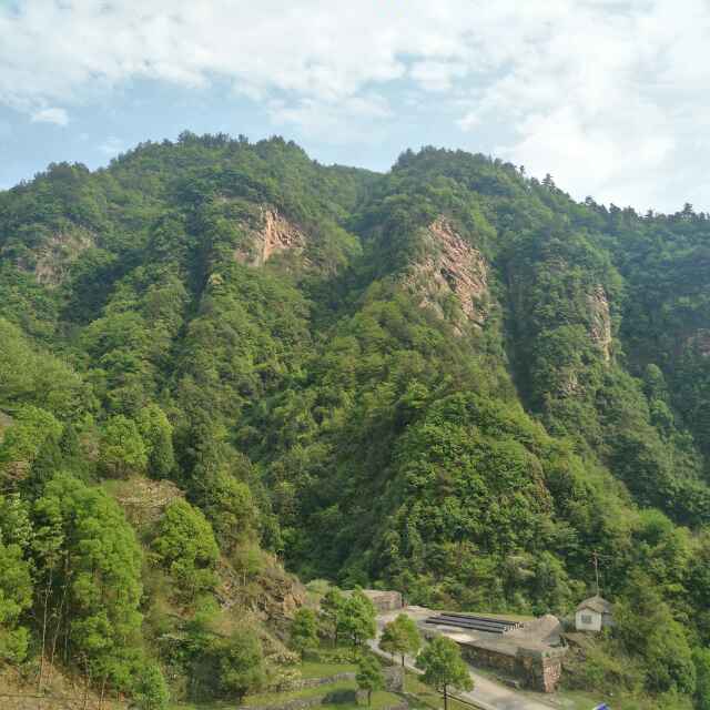 峯