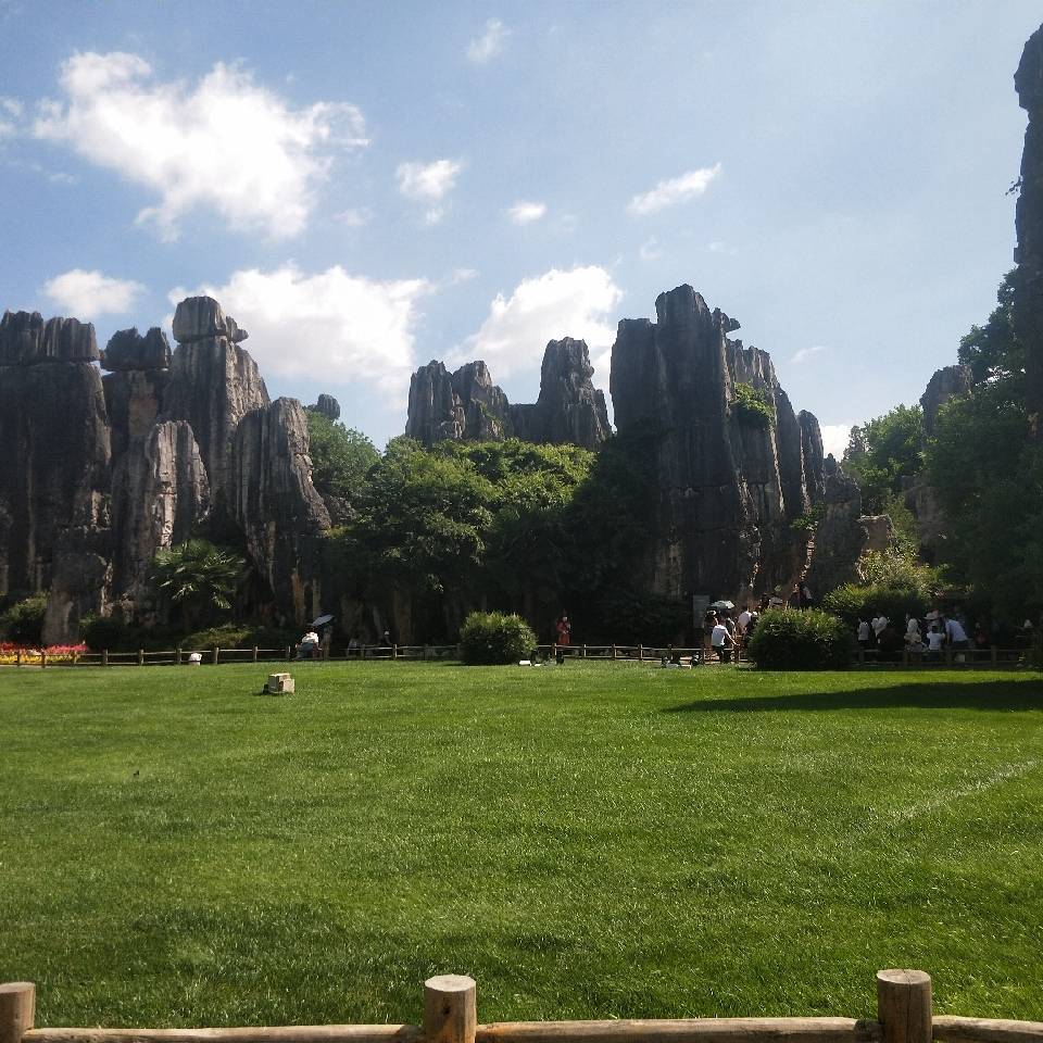 想你