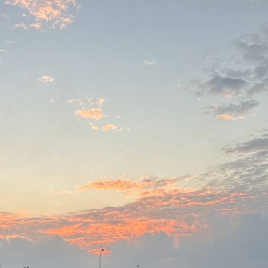 邵文瀚 亦莘咨询