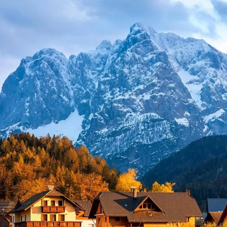 张庆😊17386010595