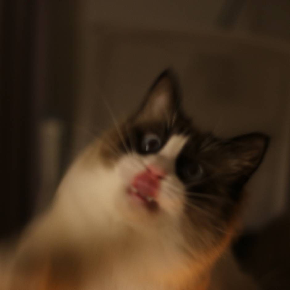 天哪噜