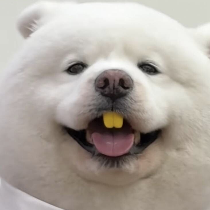 溜溜