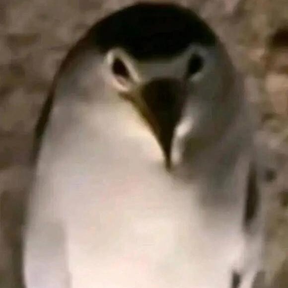 MRjionX