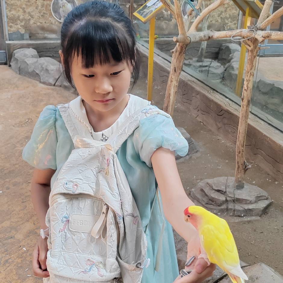 祝祺证（孔正）