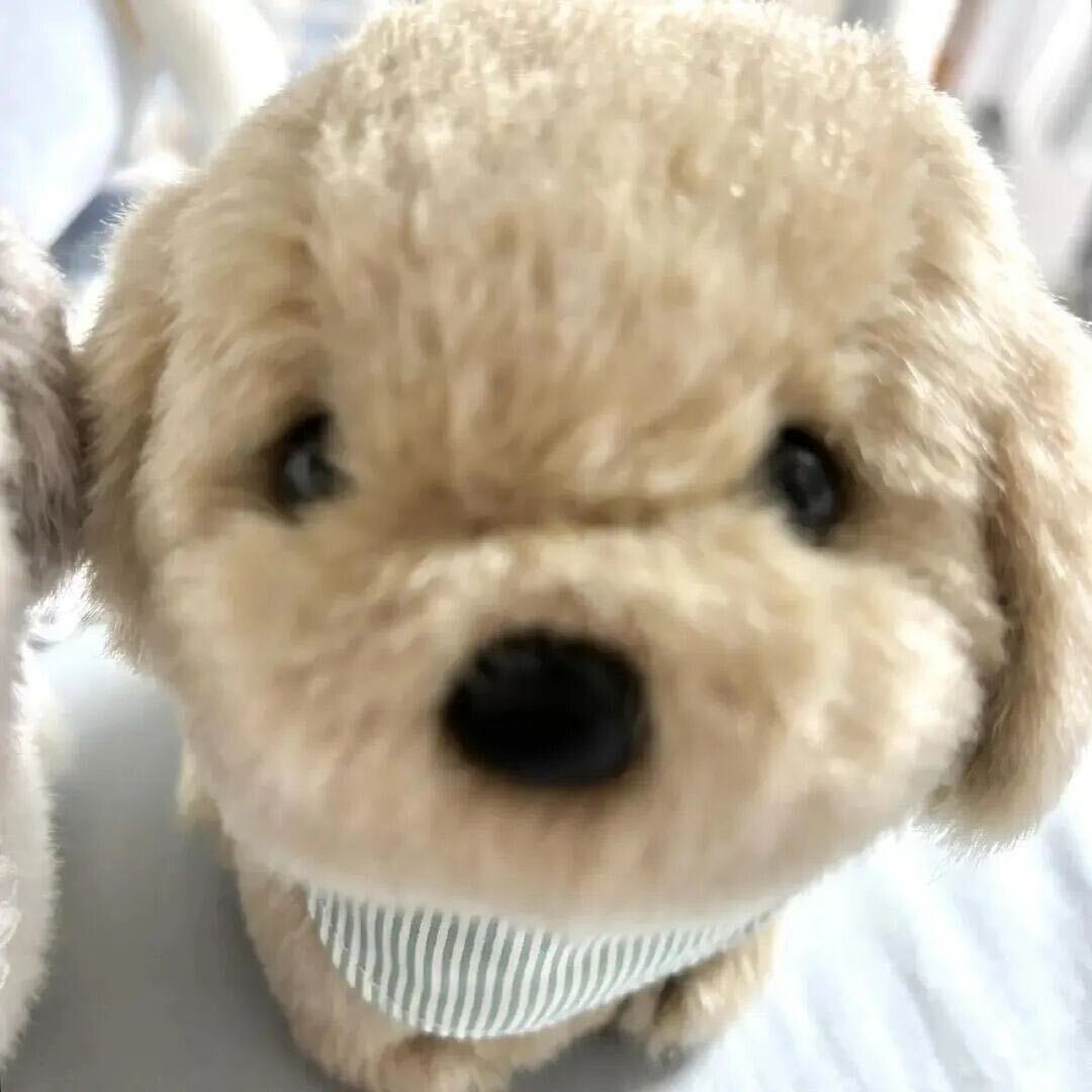 远方