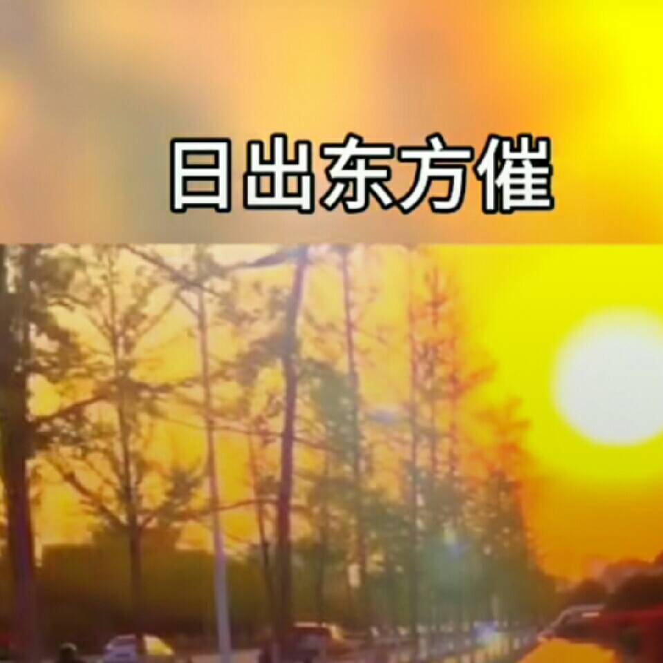 黑仔