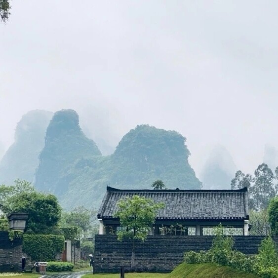 云雨青岚