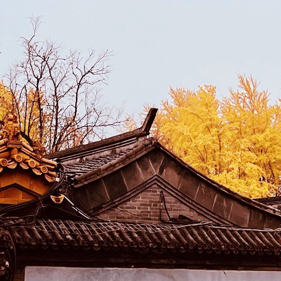 钱进