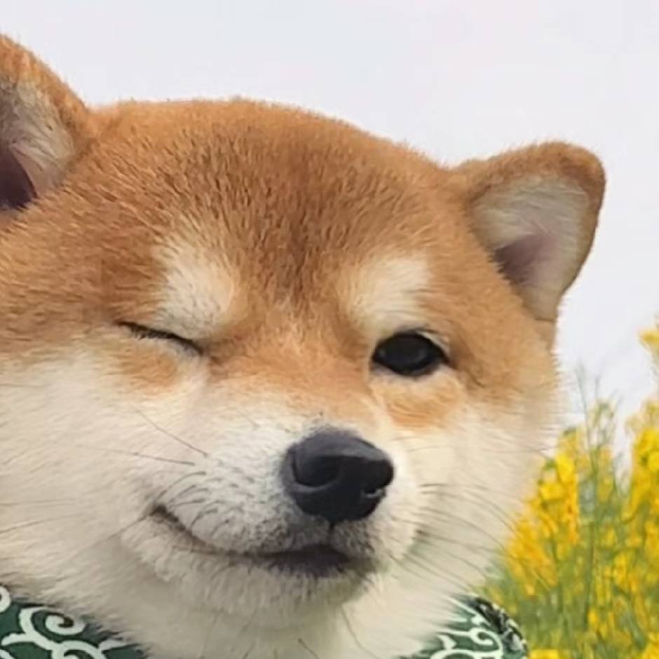月亮