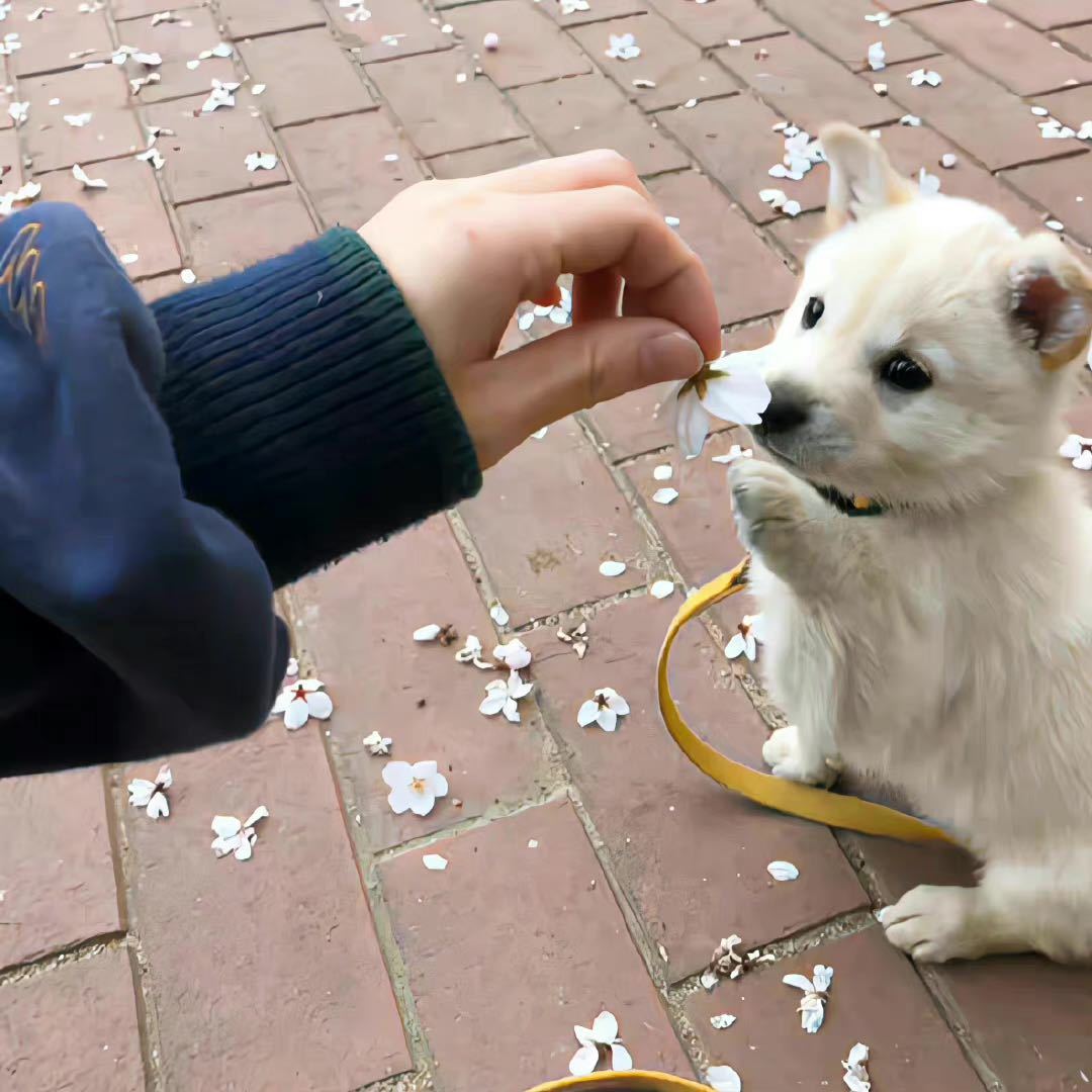 6点就起床