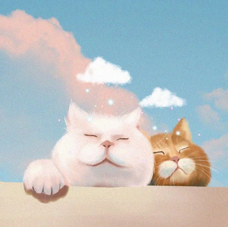 阳光拉菲〈lofy〉