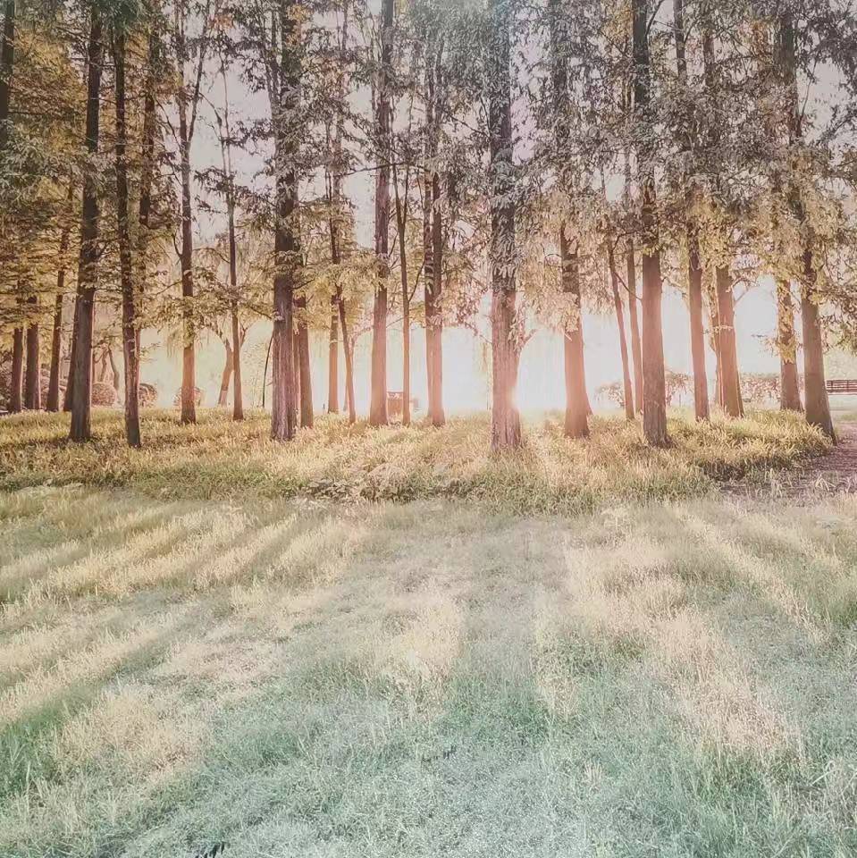 黄月龙爱生活