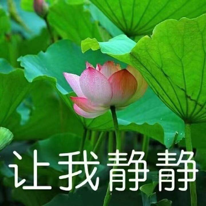 渺