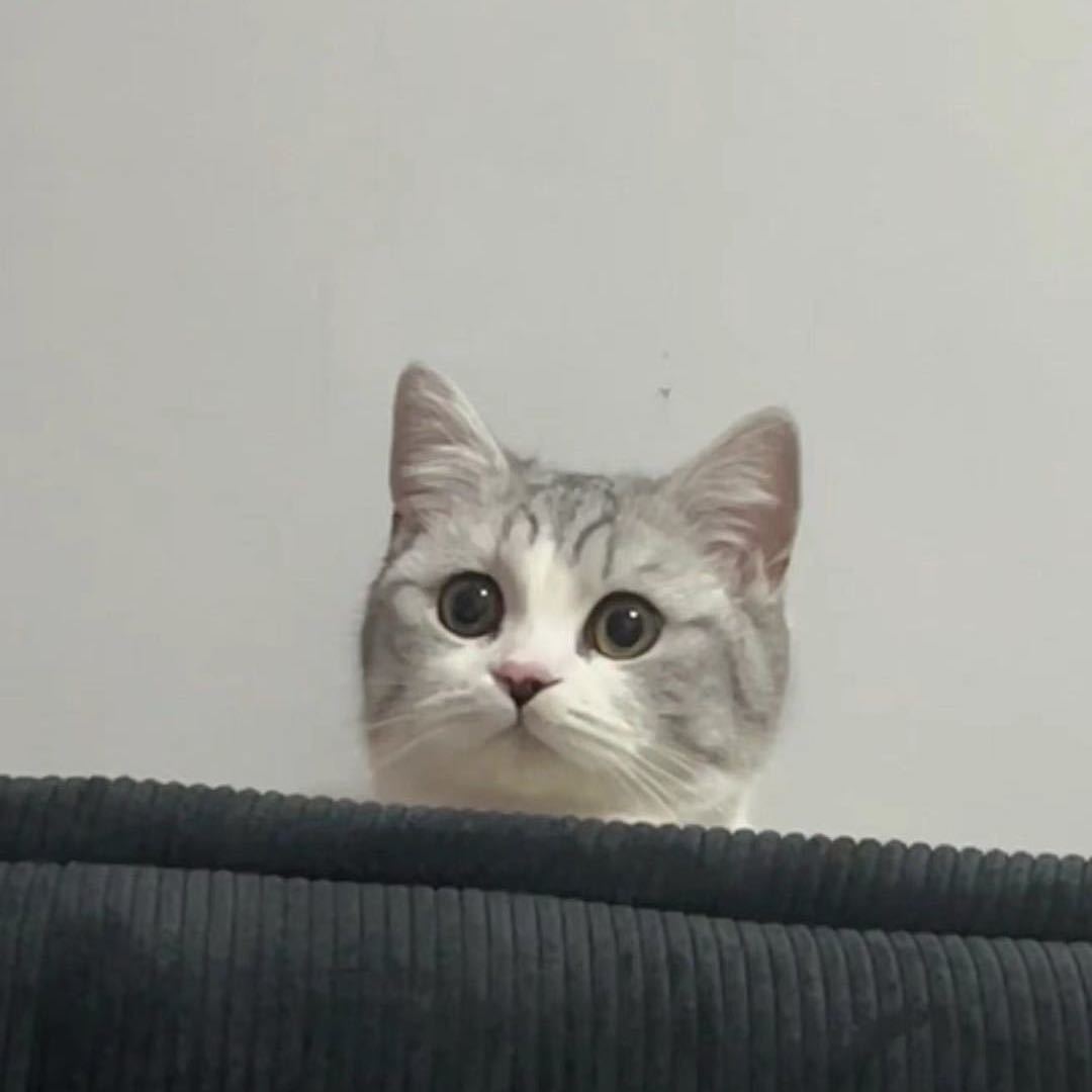 萬青