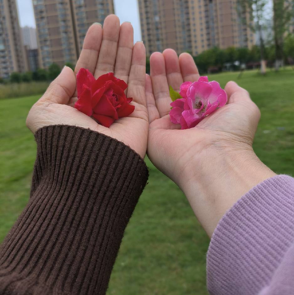 左手牵右手宋晓霞