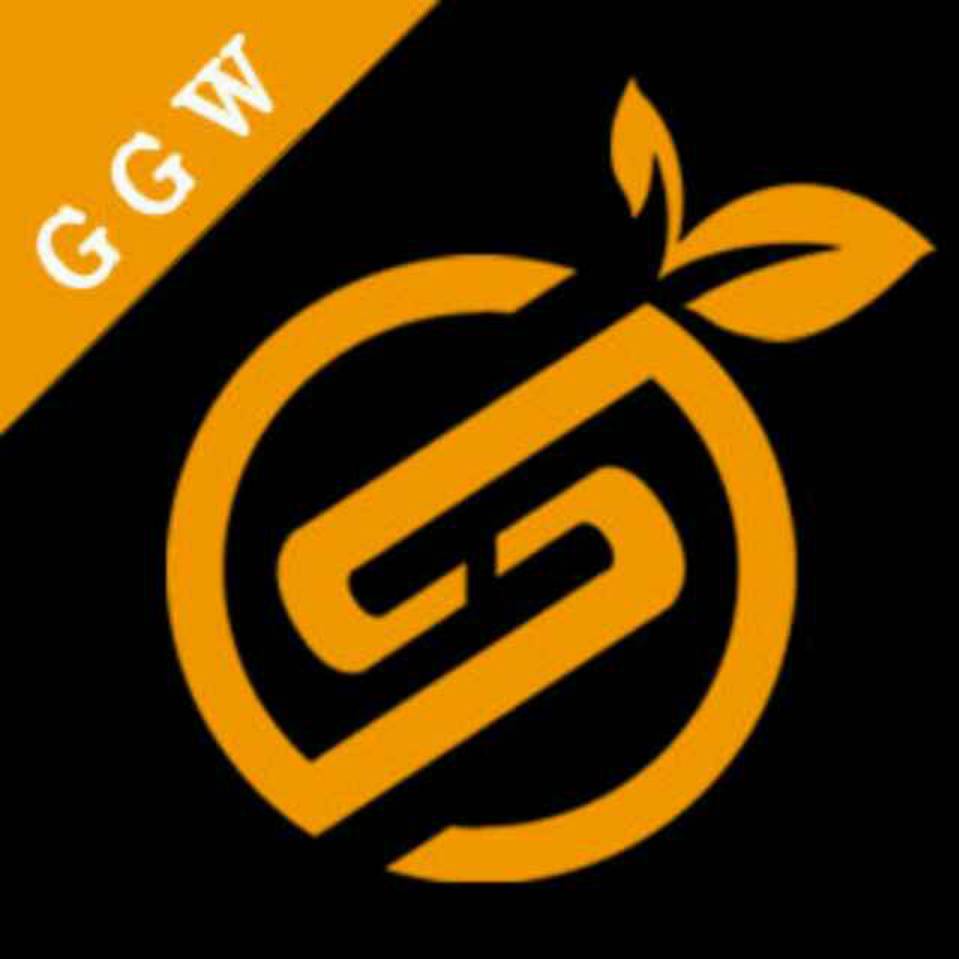 关平-果果网络科技