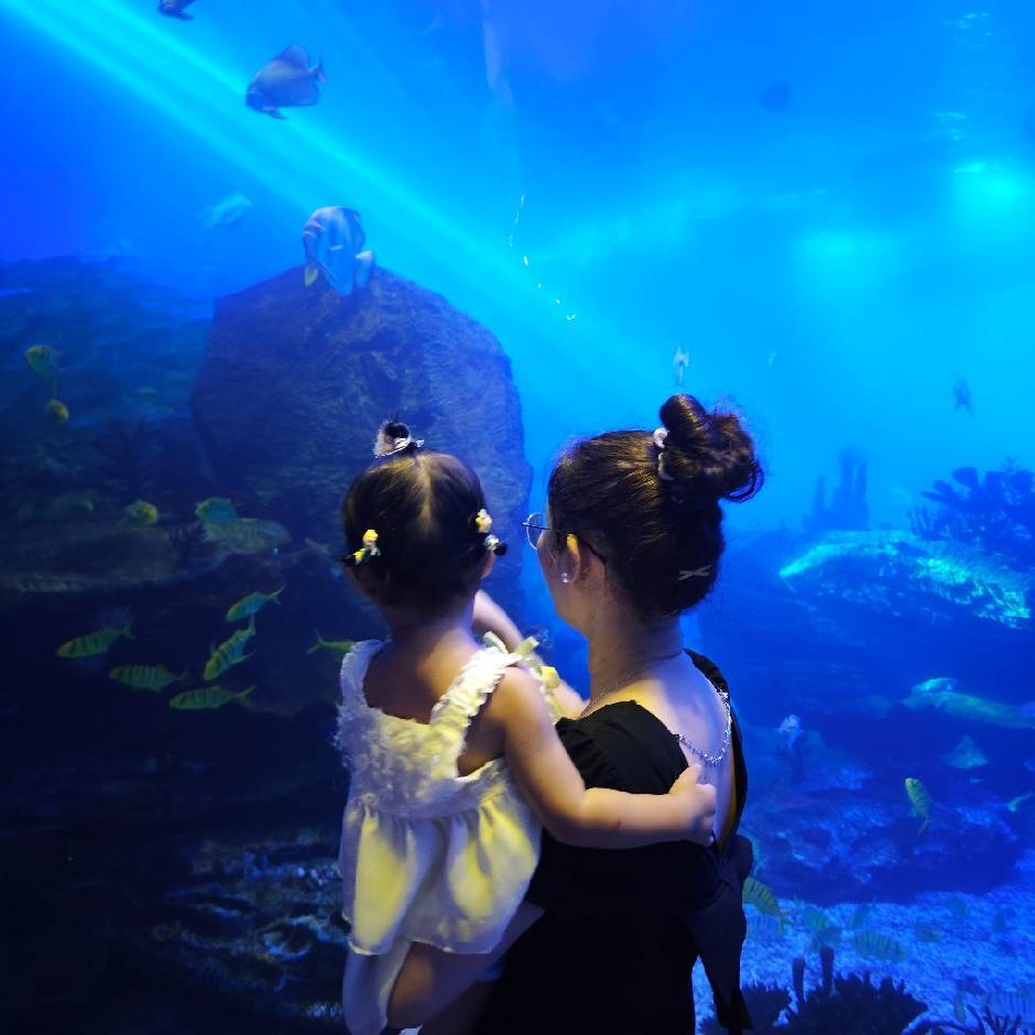 白白胖胖小仙女