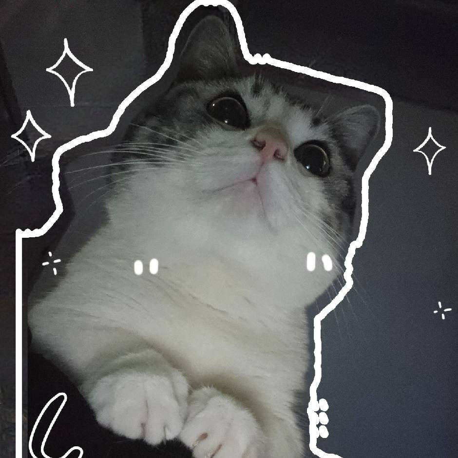 Halo