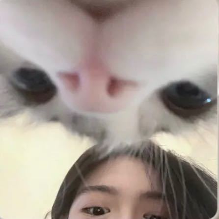 软绵绵