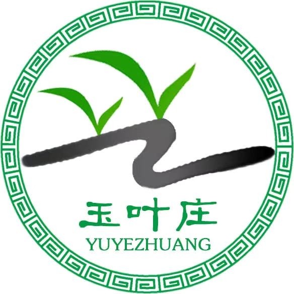 玉叶庄茶庄