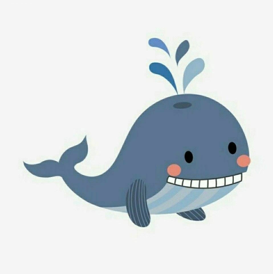 K.Y 🐳