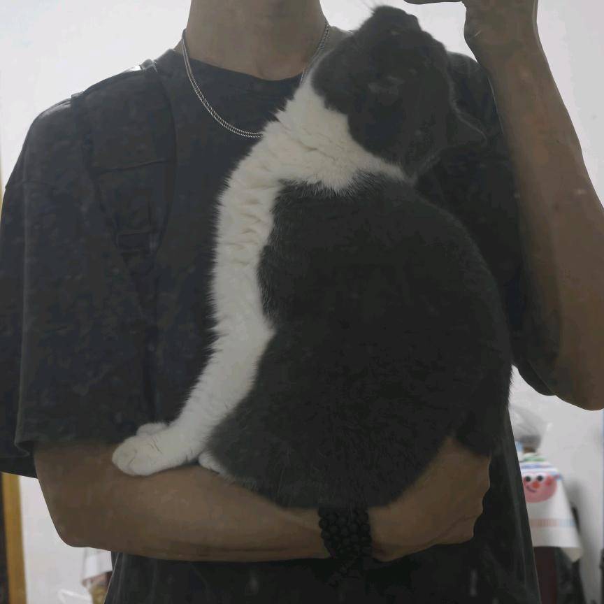 ArcticNull
