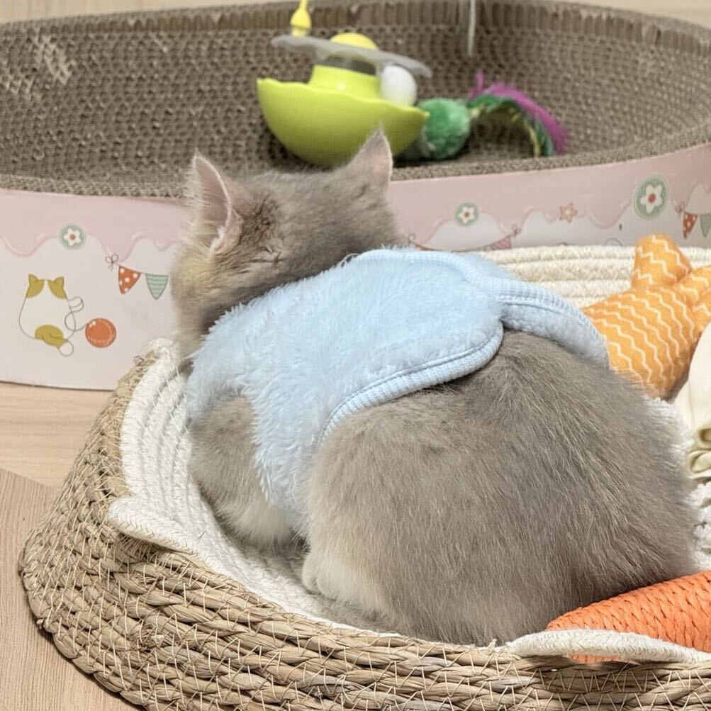 四九