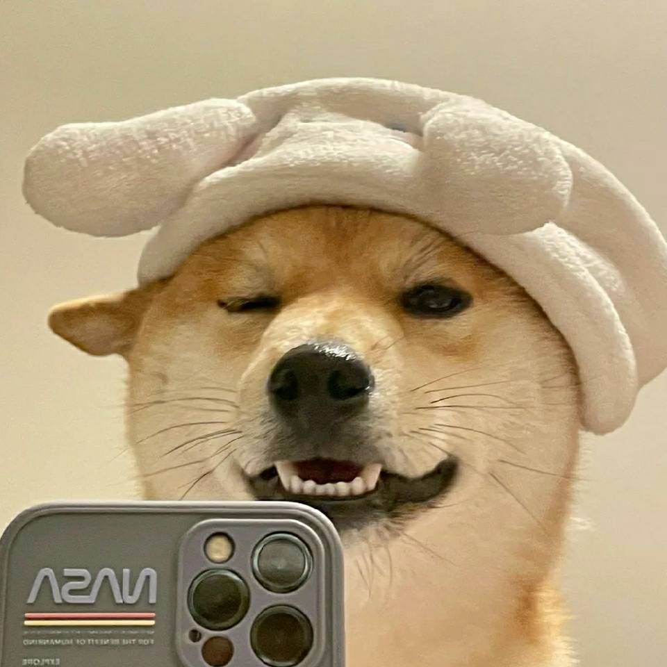 天空仍灿烂