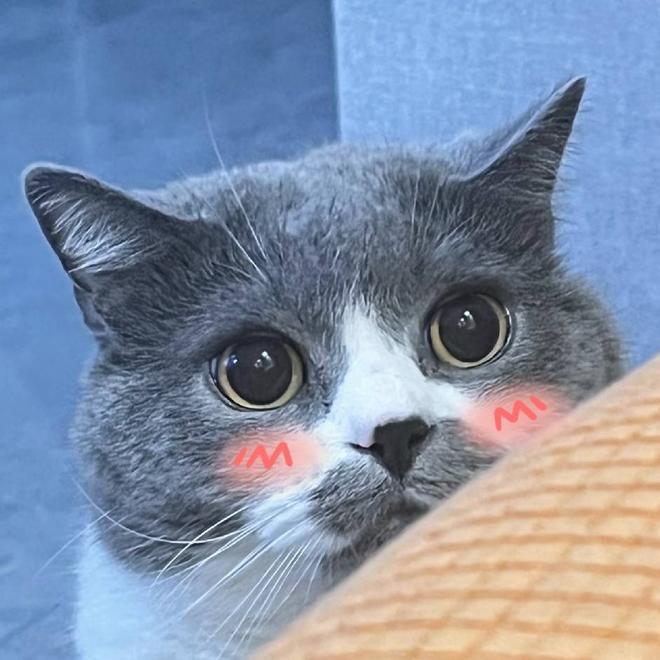 Sakei