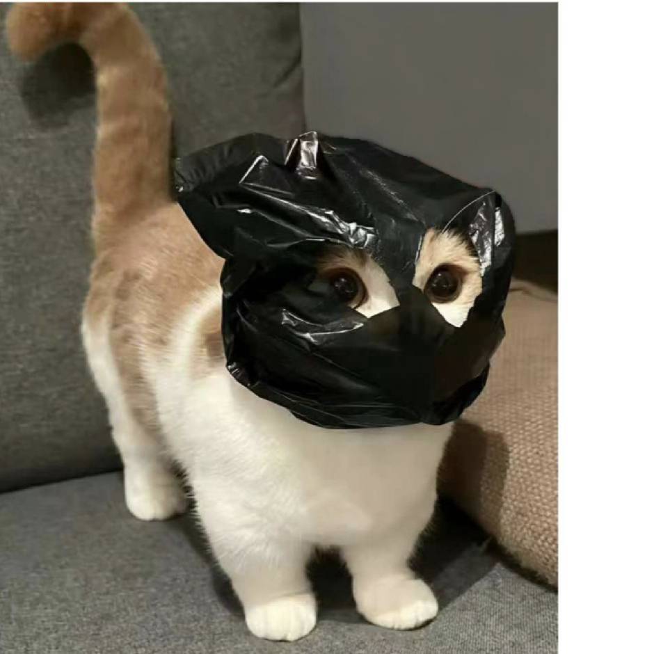 劳燕斌