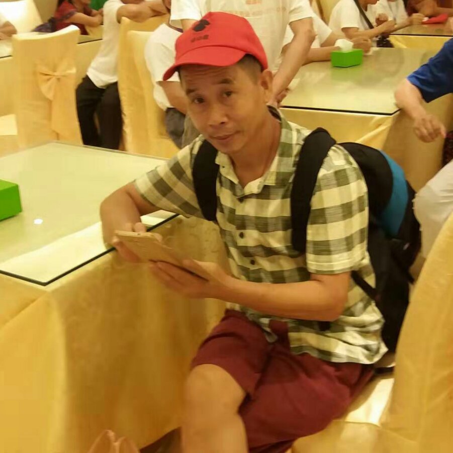 槐树