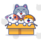 寻找100只猫猫