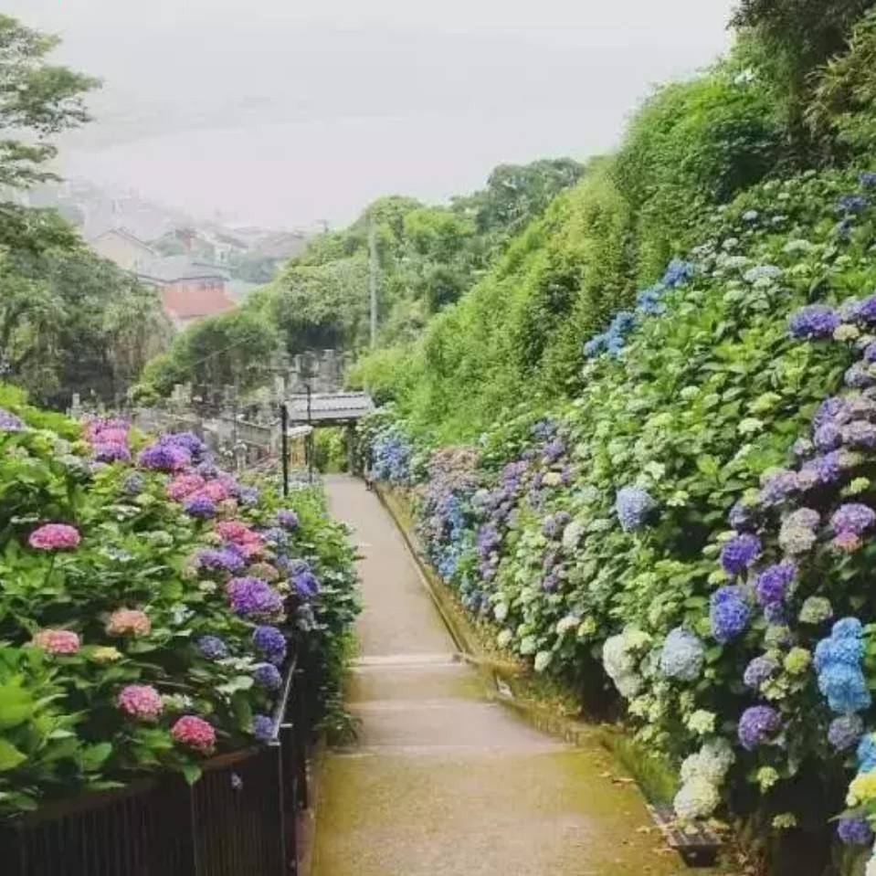 用戶頭像