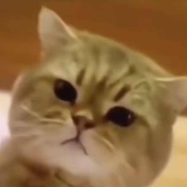 Yy