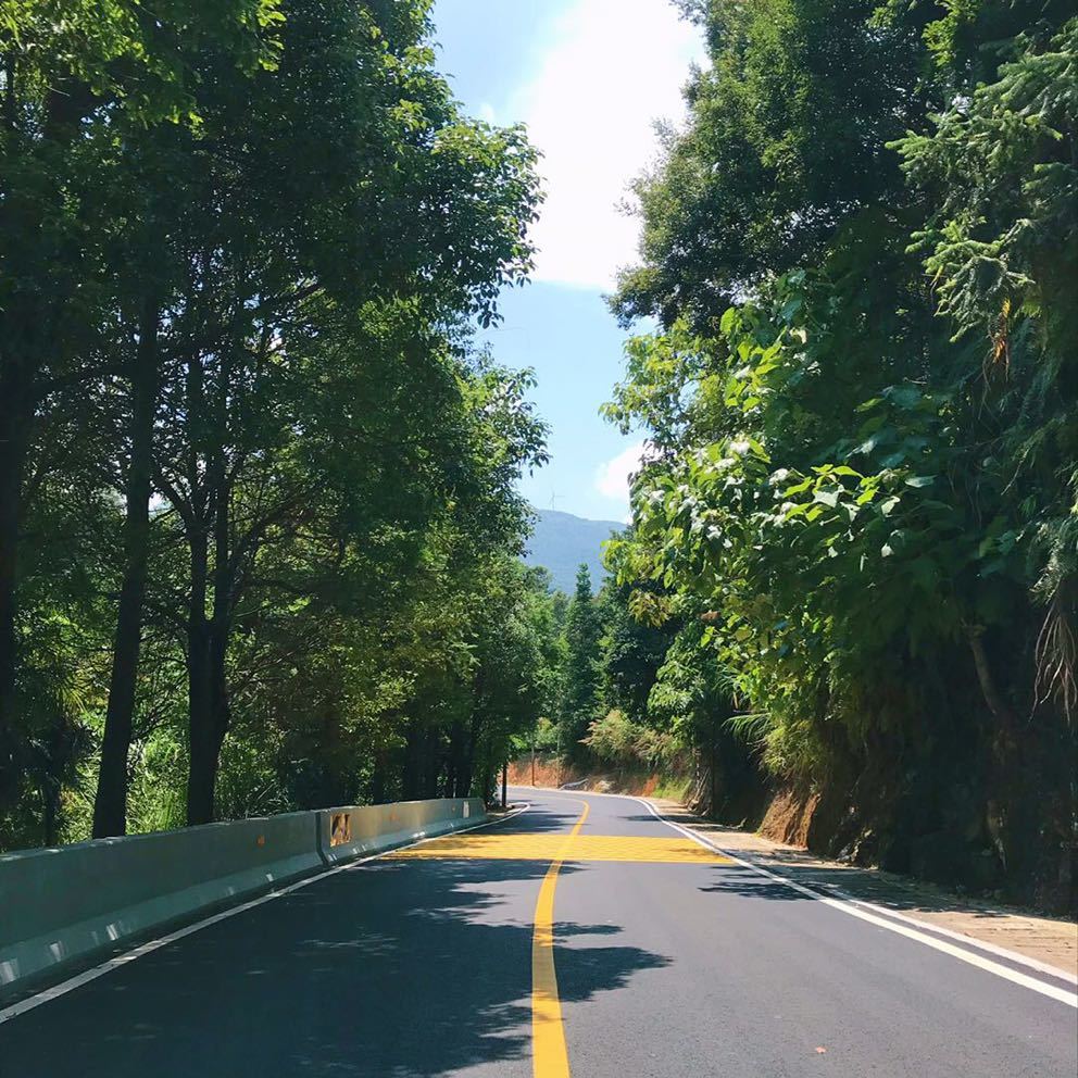 吴文静