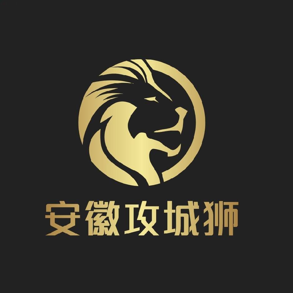 安徽攻城狮
