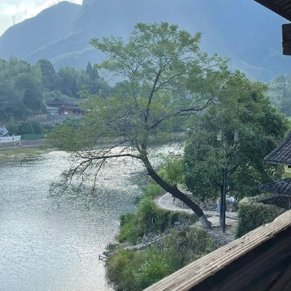 A app、 小程序开发