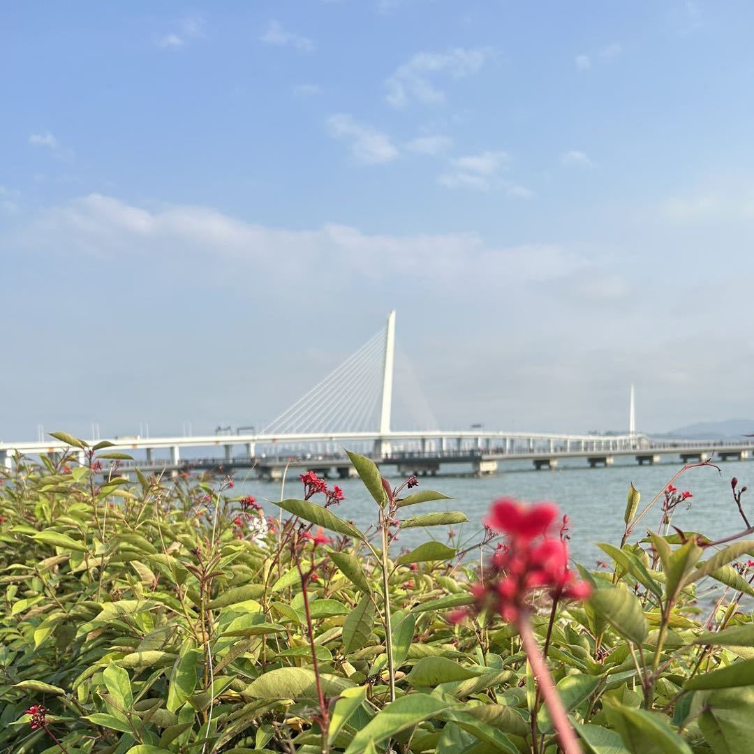 微信开放社区